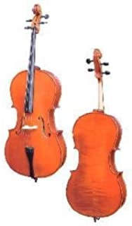 D Z Strad 101