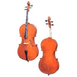 D Z Strad 101