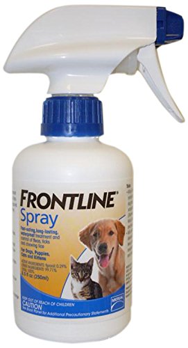 Frontline Treatment