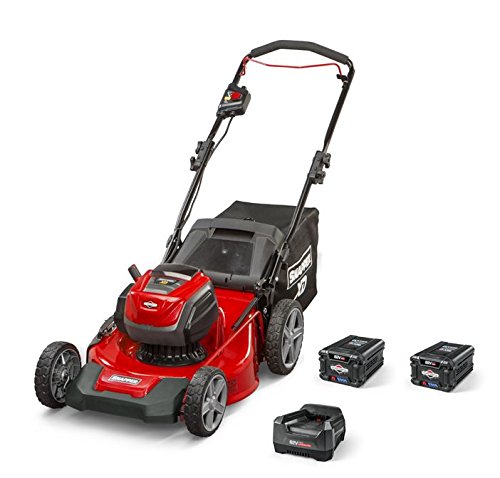 6 Best Snapper Mowers