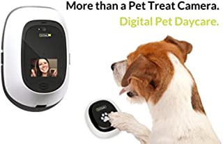 PetChatz Digital Daycare