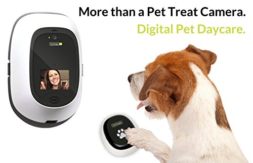 PetChatz Digital Daycare