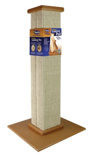 10 Best Scratching Posts