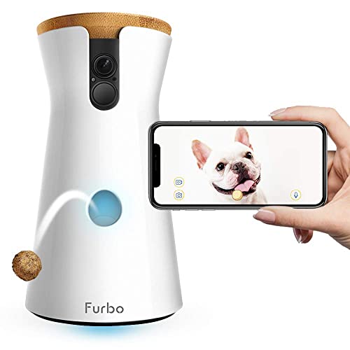 10 Best Pet Cameras