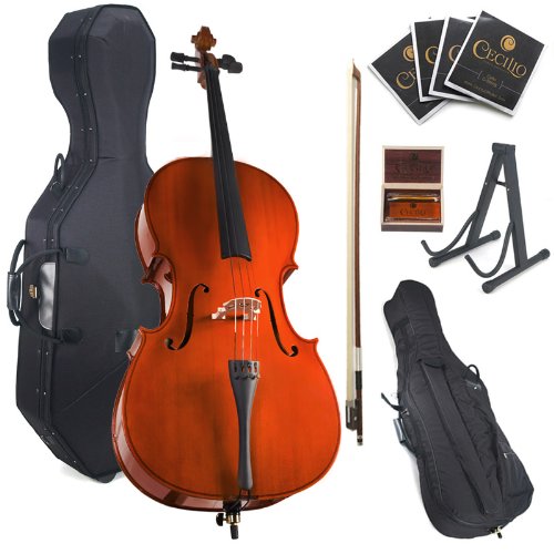 6 Best Student Cellos