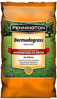 Pennington Bermudagrass