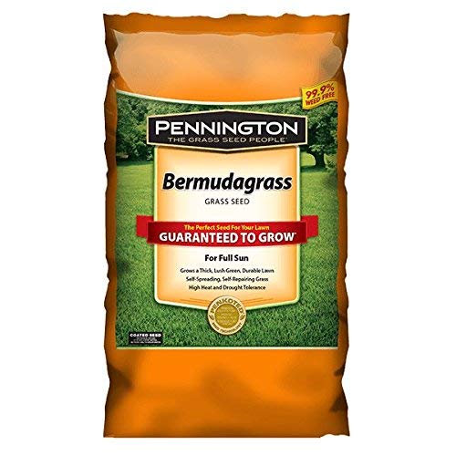 Pennington Bermudagrass