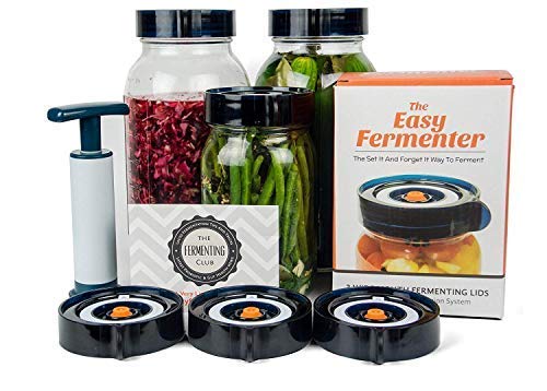 10 Best Fermenting Kits