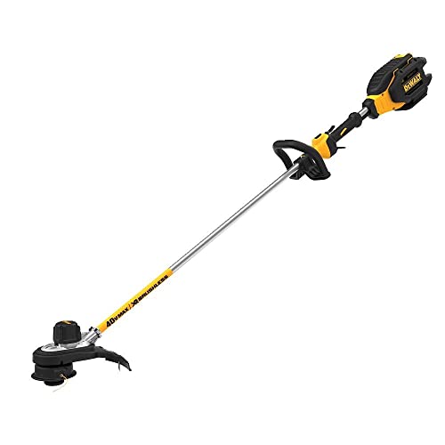 DeWalt DCST990H1