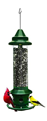 9 Best Bird Feeders