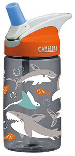 CamelBak Eddy