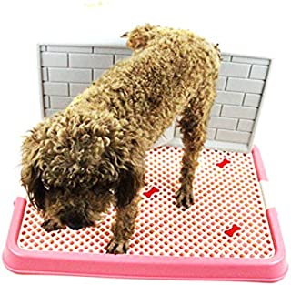 Synturfmats Puppy Toilet