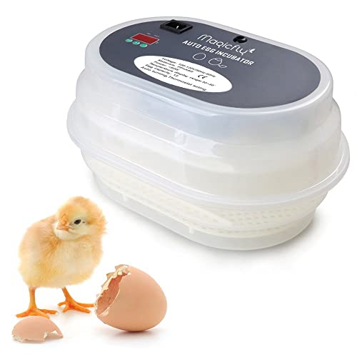 9 Best Egg Incubators