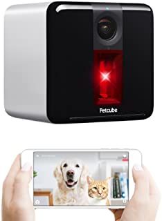 Petcube Play