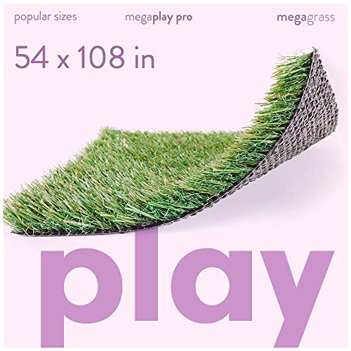 MegaGrass MegaPlay Pro