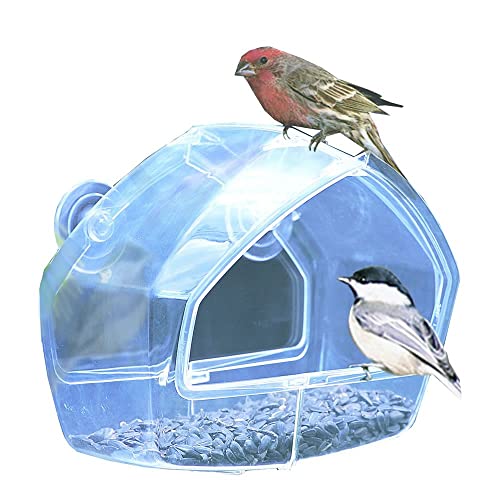 8 Best See Through Bird Feeders