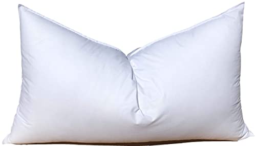 10 Best Down Pillows