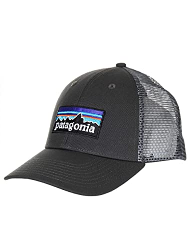 Patagonia Men's P-6 LoPro Trucker Hat