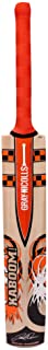 Gray-Nicolls Kaboom Smash