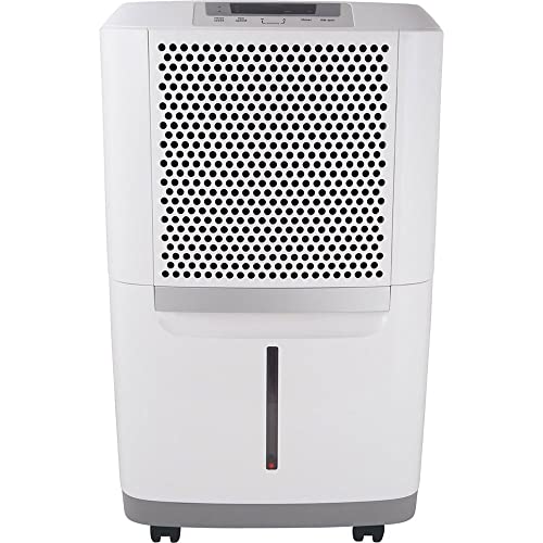 10 Best Whole Home Dehumidifiers