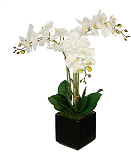 House of Silk Flowers Orchid