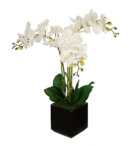 House of Silk Flowers Orchid