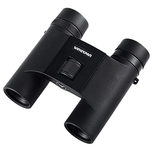 7 Best Binoculars For Theater