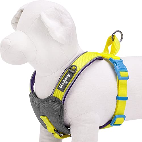 Blueberry Pet Summer Hope 3M Harness