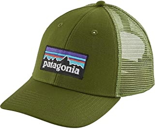 Patagonia P-6 Logo LoPro Snapback Trucker Hat