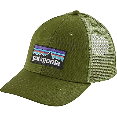 Patagonia P-6 Logo LoPro Snapback Trucker Hat