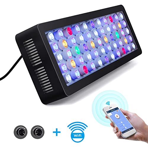 5 Best Wifi Controlled Aquarium Lights