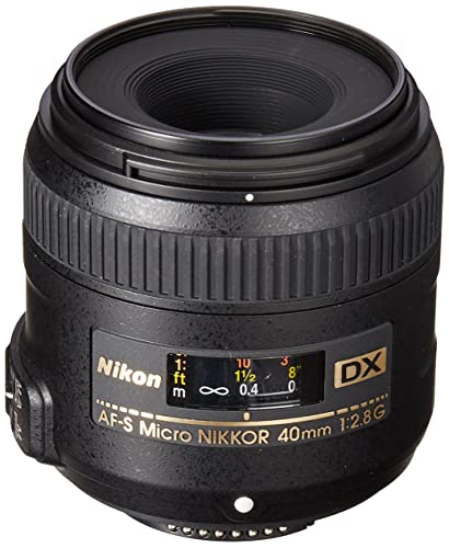 8 Best Macro Lenses For Nikon Cameras