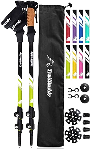 10 Best Snowshoeing Poles