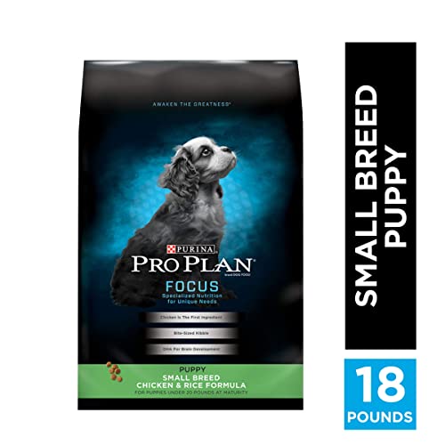 10 Best Puppy Food For Small Breeds