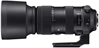 Sigma 60-600mm f/5-3 HSM