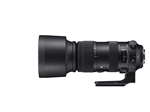 Sigma 60-600mm f/5-3 HSM