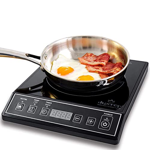 8 Best Portable Induction Cooktops