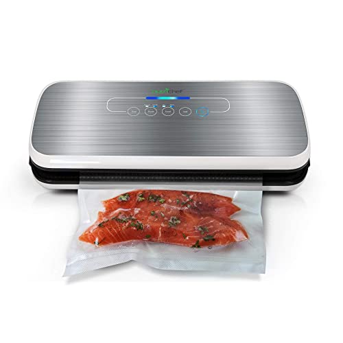 10 Best Vacuum Sealers