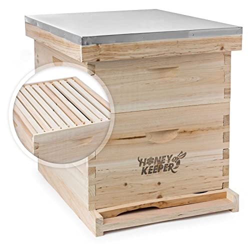 7 Best Bee Hive Kits