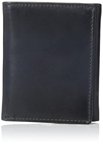 Fossil Ingram Trifold