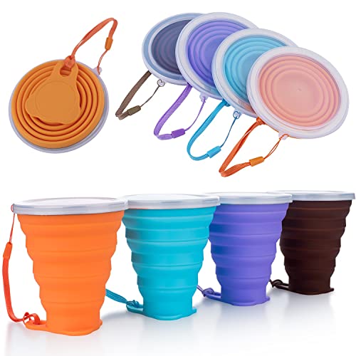 10 Best Collapsible Cups