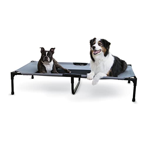 10 Best Raised Dog Beds