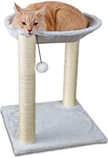 Paws & Pals Tree House