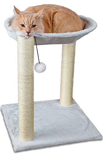 Paws & Pals Tree House