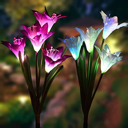 Solarmart Lilies