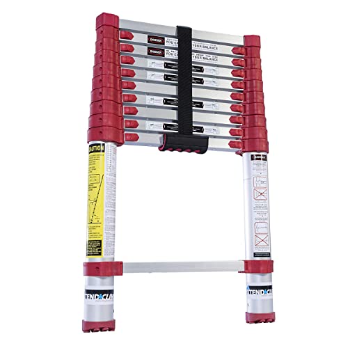 10 Best Extension Ladders