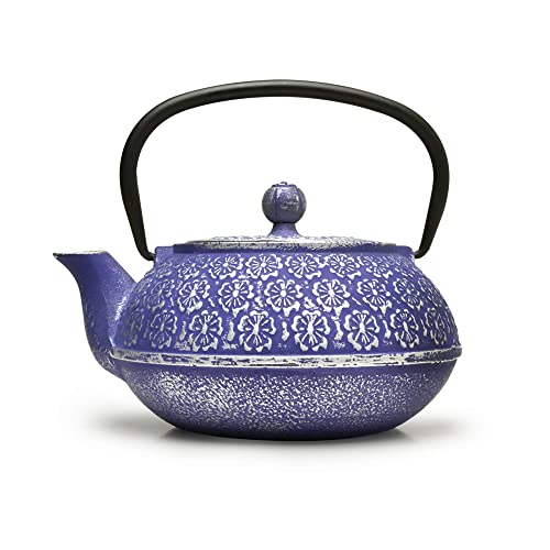 Best Cast Iron Teapots