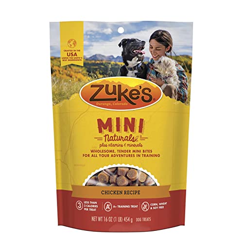 10 Best Dog Treats