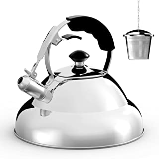 Tea Kettle - Surgical Whistling Teapot with Capsule Bottom and Mirror Finish