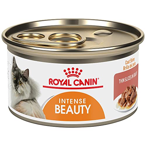 Royal Canin Intense Beauty